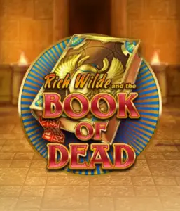 Enter the thrilling world of Book of Dead by Play'n GO, featuring vivid graphics of Rich Wilde’s adventurous journey through ancient Egyptian tombs and artifacts. Uncover lost riches with captivating mechanics like free spins, expanding symbols, and a gamble option. Ideal for adventure enthusiasts with a desire for thrilling discoveries.